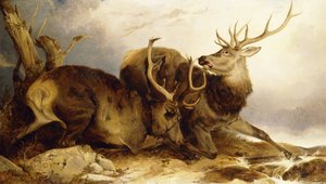 戦闘、1847 作： Richard Ansdell