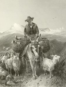 グラナダのGoatherd 作： Richard Ansdell