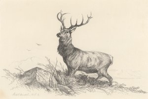センチネル 作： Richard Ansdell
