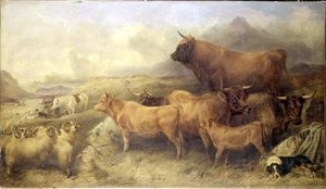 不明な画像 作： Richard Ansdell