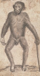 Macacos (um dos três em uma montaria) 作： Richard Brookes