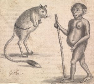 サル (1 つのマウントに 3 つのうちの 1 つ)