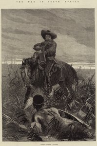 南アフリカ戦争