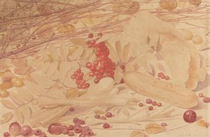 グーズベリー、ラズベリー、レッドカラント、スプリングオニオン、ガーキン、葉のある静物 作： Richard Dadd