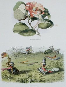 In Fairyland」のイラスト「A Dancing Butterfly」と「The Tournament」。ウィリアム・アリンガムとアンドリュー・ラングによる「妖精の世界からの一連の絵」の挿絵（カラーリトグラフ版） 作： Richard Doyle