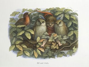 エルフとフクロウ 作： Richard Doyle