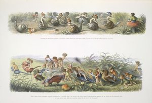 エルフ 作： Richard Doyle