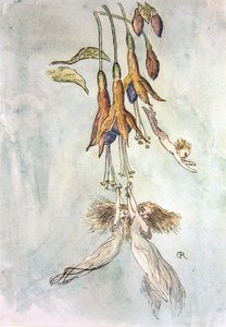フシギダネのごちそう」（水彩・紙） 作： Richard Doyle