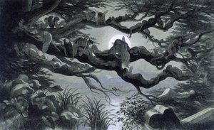 枝の上で月明かりの下で休んでいる妖精、ニンフ、エルフ？ 「おとぎの国」のイラストです。 A series of pictures from the elf - world"" by Richard Doyle 1869-1870 The British Library Institution Reference: Shelfmark ID: 1876 e18 