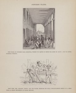 The American Tour of Messrs Brown, Jones and Robinson」のページ（彫刻）。 作： Richard Doyle