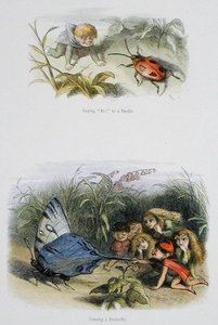 カブトムシに「ボー！」と言ったり、蝶々をからかったり、ウィリアム・アリンガムとアンドリュー・ラングの「In Fairyland:ウィリアム・アリンガム、アンドリュー・ラング著『妖精の世界の絵シリーズ』（カラーリトグラフ版） 作： Richard Doyle