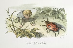言ってボー！ カブトムシに