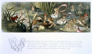 睡蓮と水の妖精、ウィリアムアリンガムとアンドリューラングによる「妖精の国：エルフの世界からの一連の写真」のイラスト 作： Richard Doyle