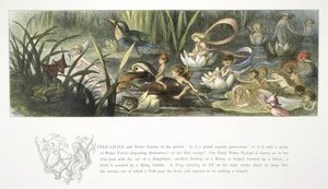 睡蓮と水の妖精 作： Richard Doyle