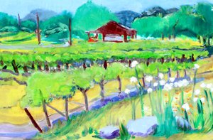 Vineyard on Zinfandel Lane, Napa, 2019年 作： Richard Fox
