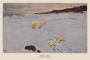 ホッキョクグマと子グマ（カラーリトグラフ） 作： Richard Friese