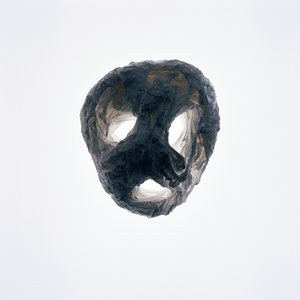 グーリー, 2015