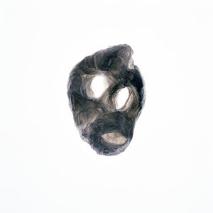 グーリー, 2015