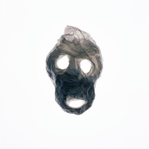 グーリー, 2015