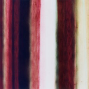 ストライプII、2005年