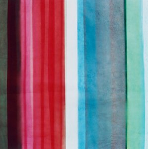 ストライプ VI, 2005