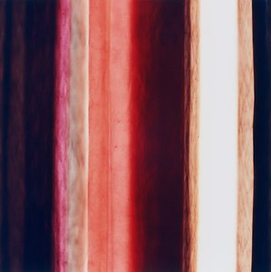 ストライプXI、2005年 作： Richard Green