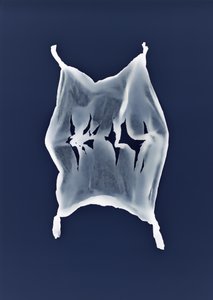無題, 2003