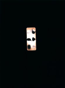 無題、2004年（ユニークなC型フォトグラム）