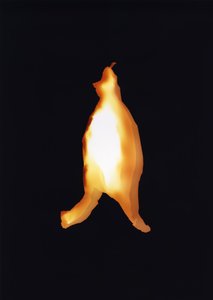 無題, 2004 作： Richard Green