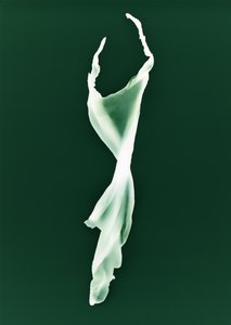 Nimetön, 2004