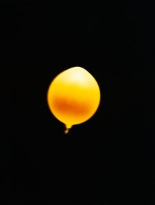 無題, 2006
