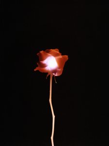 無題, 2007