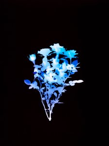 無題, 2008 作： Richard Green