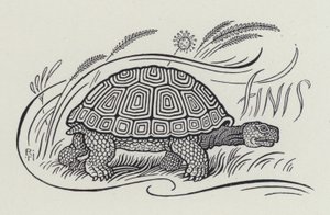 うさぎとかめ」（彫刻作品 作： Richard Heighway