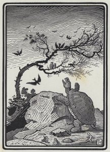 The Tortoise And The Birds (e.g. the engraving)