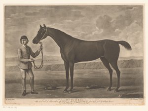 Racepaard はジョッキーに会いました ダッチェス