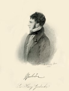 ハリーグッドリケ卿、1833年。 作： Richard James Lane