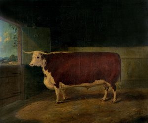 賞の肖像ヘレフォードステア、1874 作： Richard Whitford