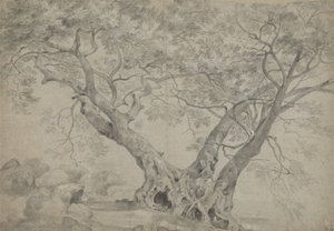 ネミ湖のほとりにあるアルブラサクラ、1754〜56年頃（紙に黒と白のチョーク） 作： Richard Wilson