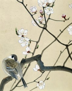 鳥 - リウ・チムによる日本画、19世紀後半 作： Riu Chim