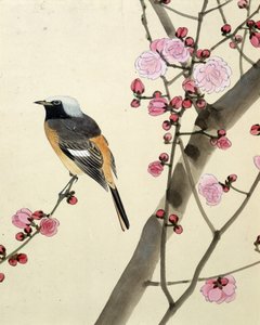 鳥 - リウ・チムによる日本画、19世紀後半 作： Riu Chim