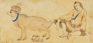 1630-31以降の若者と雄羊の研究 作： Riza i Abbasi