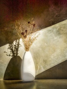 乾燥植物の静物画 作： 