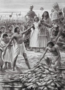 死者から切り取られた手を数える（リトグラフ） 作： Robert Ambrose Dudley