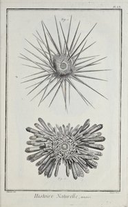 デニス・ディドロの「科学、自由芸術、機械芸術のためのスケッチ集、およびその解説」からの挿絵。