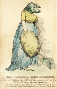 1815年頃のロンドンで有名な豚顔の女性.