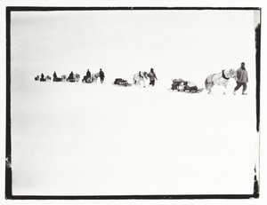 行進中のポニー、グレートアイスバリア、12月2日 作： Robert Falcon Scott