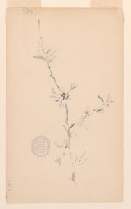 枝 作： Robert Frederick Blum