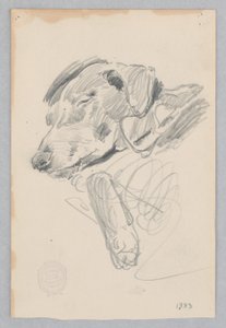 犬