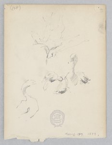 アヒル 作： Robert Frederick Blum